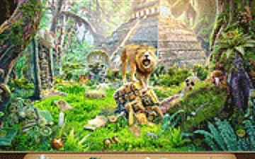 Jungle Mysteries