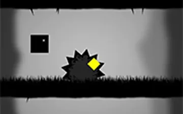 Little Black Box