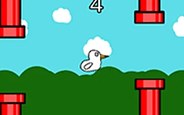 Crazy Goose