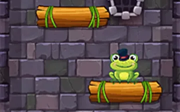 Frog In Well