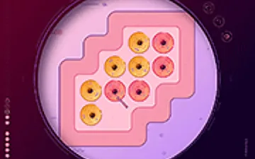 Mitoosis