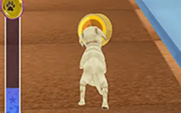 Pet Run Adventure Puppy Run
