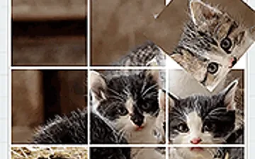 Rotate Puzzle: Cats and Dogs