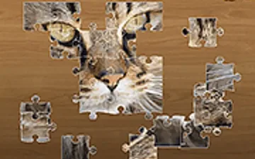 Jigsaw Puzzle Classic