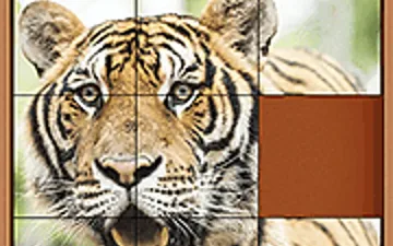 Jungle Slider