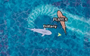 Shark Dominance io