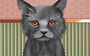 Pet Makeup Master