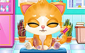 Doc HoneyBerry: Kitty Surgery