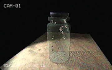 Flies in a Jar