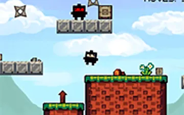 Ninja Rescue