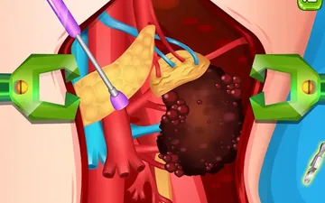 Princess Kidney Transplant