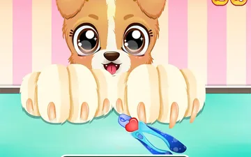 Puppy Fun Care