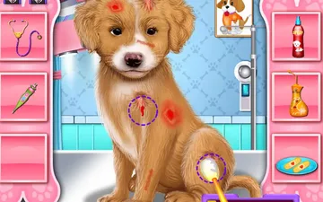 Fashion Pet Doctor