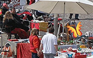 100 Butterflies: Flea Market