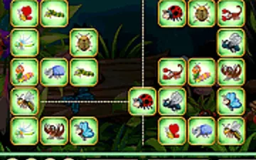 Insects Bumping Match