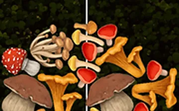 Merge Mushroom game preview