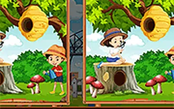 Public Park Difference