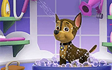 Paw Patrol: Picture PAWfect Dress-Up