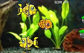 Robotic Fishy