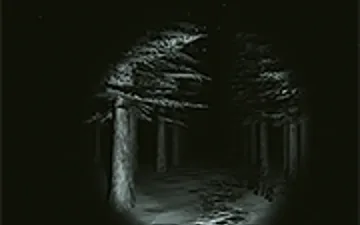 Cabin Horror
