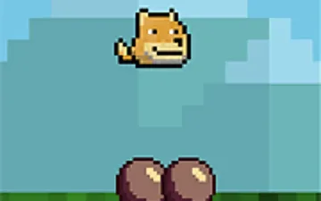 Jumping Dog