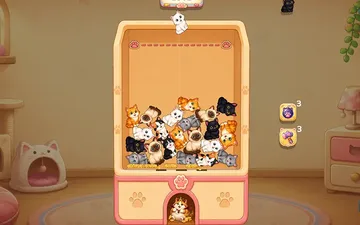 Kitty Cash