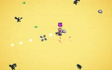 Wild West Survivor
