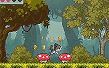 Cute Cat's Adventure
