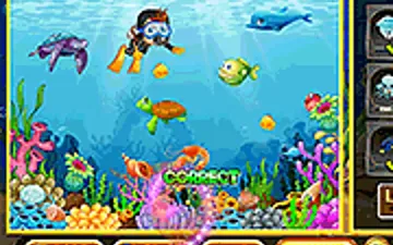 Diving in the Pacific