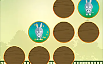 Animals Memory 3 World