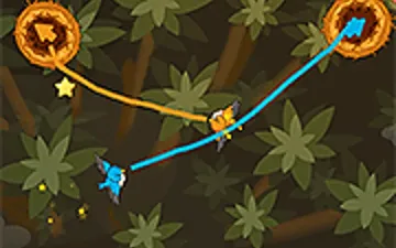 Draw the Bird Path