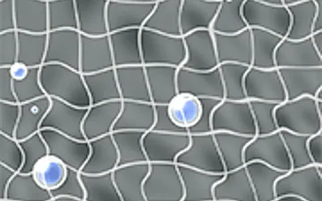 Aim Locker