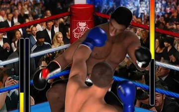 Ultimate Boxing