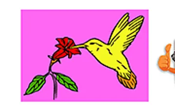 Bird Coloring game preview