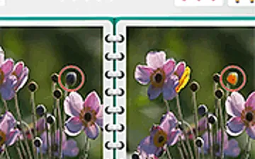 Spot the Difference Html5