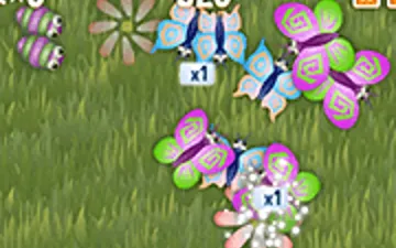 Butterfly Party