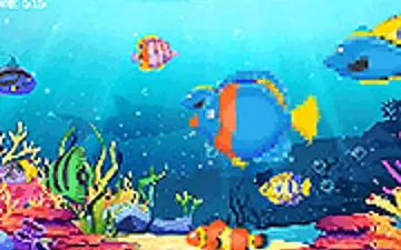 Fish as a Dish