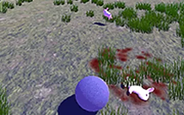 Kill All the Rabbits